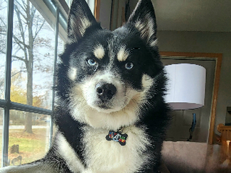 Luca