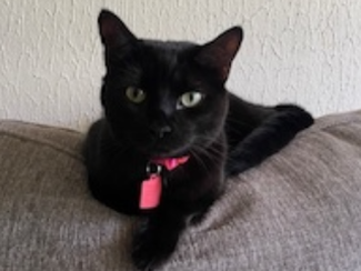 Nala