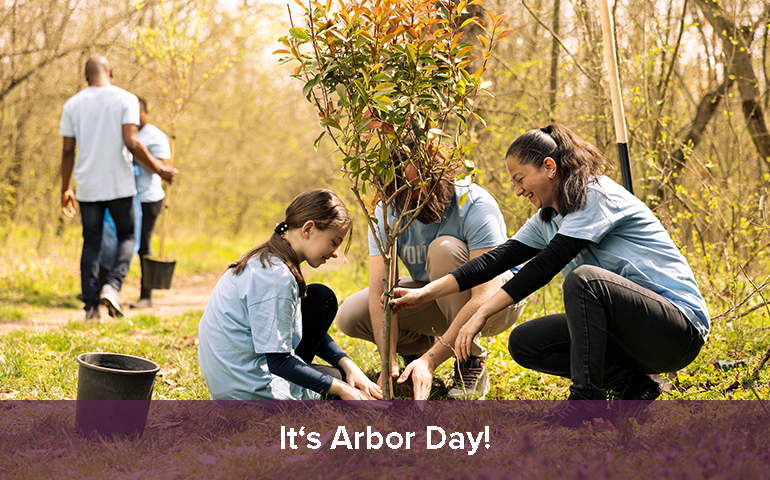 It's Arbor Day!