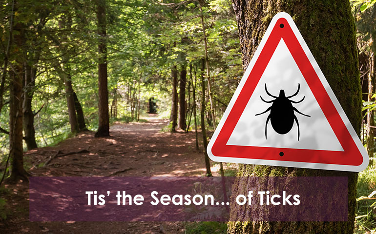 Tis' the Season... of Ticks