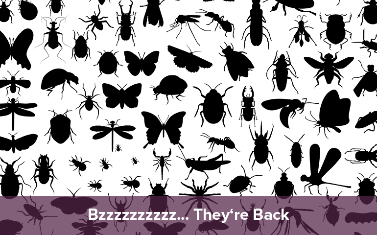 Bzzzzzzzzzz... They're Back