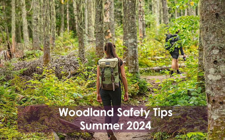 Woodland Safety Tips Summer 2024
