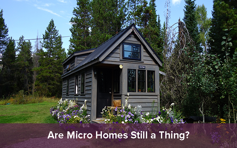 Are Micro Homes Still a Thing?