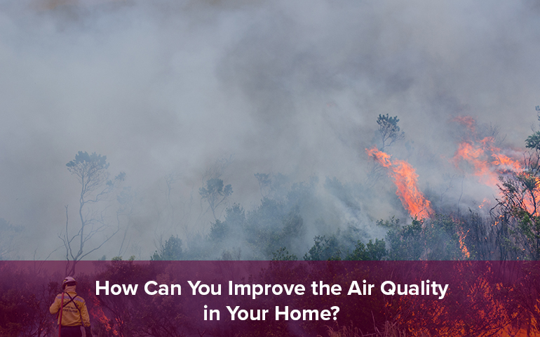 How Can You Improve the Air Quality in Your Home?
