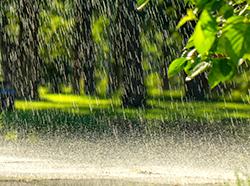 April Showers, May Flowers & All That Jazz