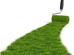 Should You Paint Your Lawn to Entice Buyers?